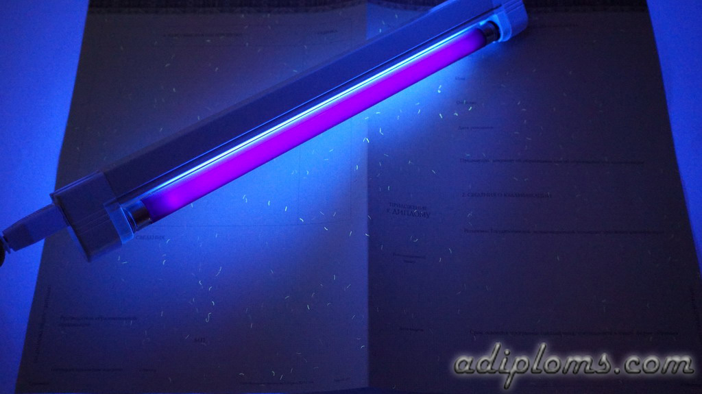 Диплом бакалавра 2014-2026 Фото Диплом бакалавра 2014-2026 Фото